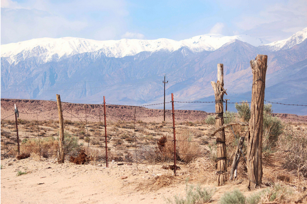 Screen Shot 20150512 at 3.43.10 PM